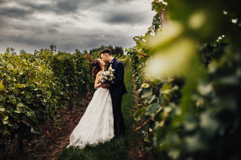nevesta a ženích sa bozkávajú, pár medzi radmi viniča, svadobný bozk medzi vinič radmi, nevesta v bielych šatách, oblačné nebo nad vinohradom, romantický moment v prírode. Pivnica Radošina.